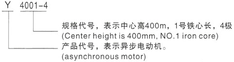 西安泰富西玛Y系列(H355-1000)高压YE2-355L-8三相异步电机型号说明