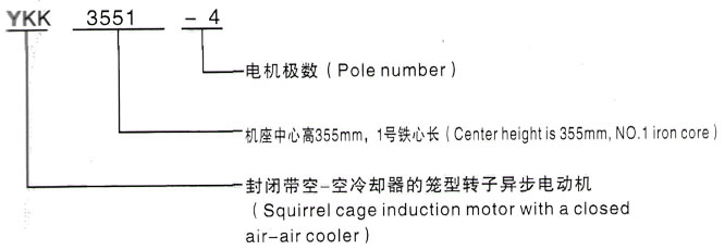 YKK系列(H355-1000)高压YE2-355L-8三相异步电机西安泰富西玛电机型号说明