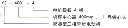 YR系列(H355-1000)高压YE2-355L-8三相异步电机西安西玛电机型号说明